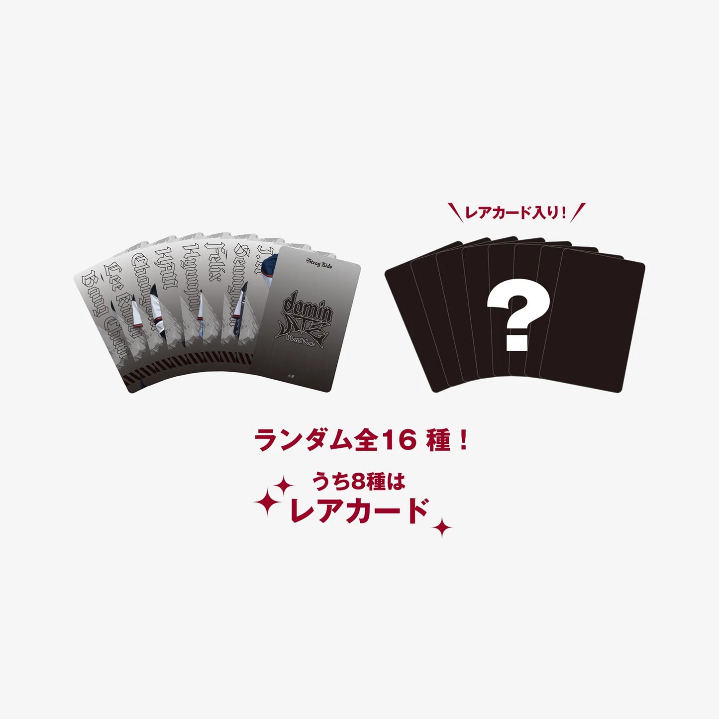 RANDOM PHOTO CARD - Shizuoka Stray Kids World Tour R2