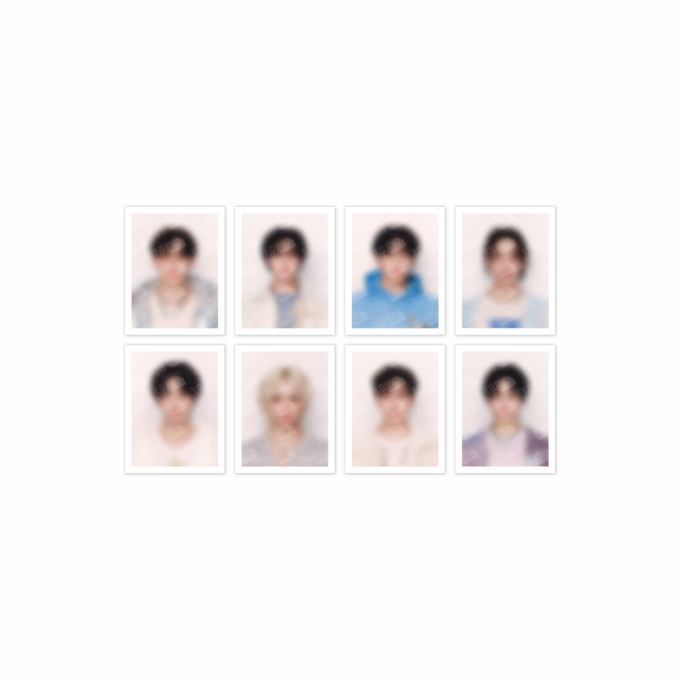 Stray Kids ID PHOTO SET