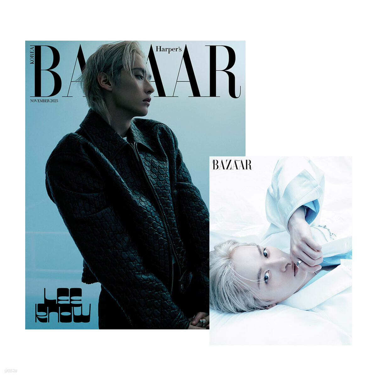HARPER'S BAZAAR Nov Issue x Leeknow