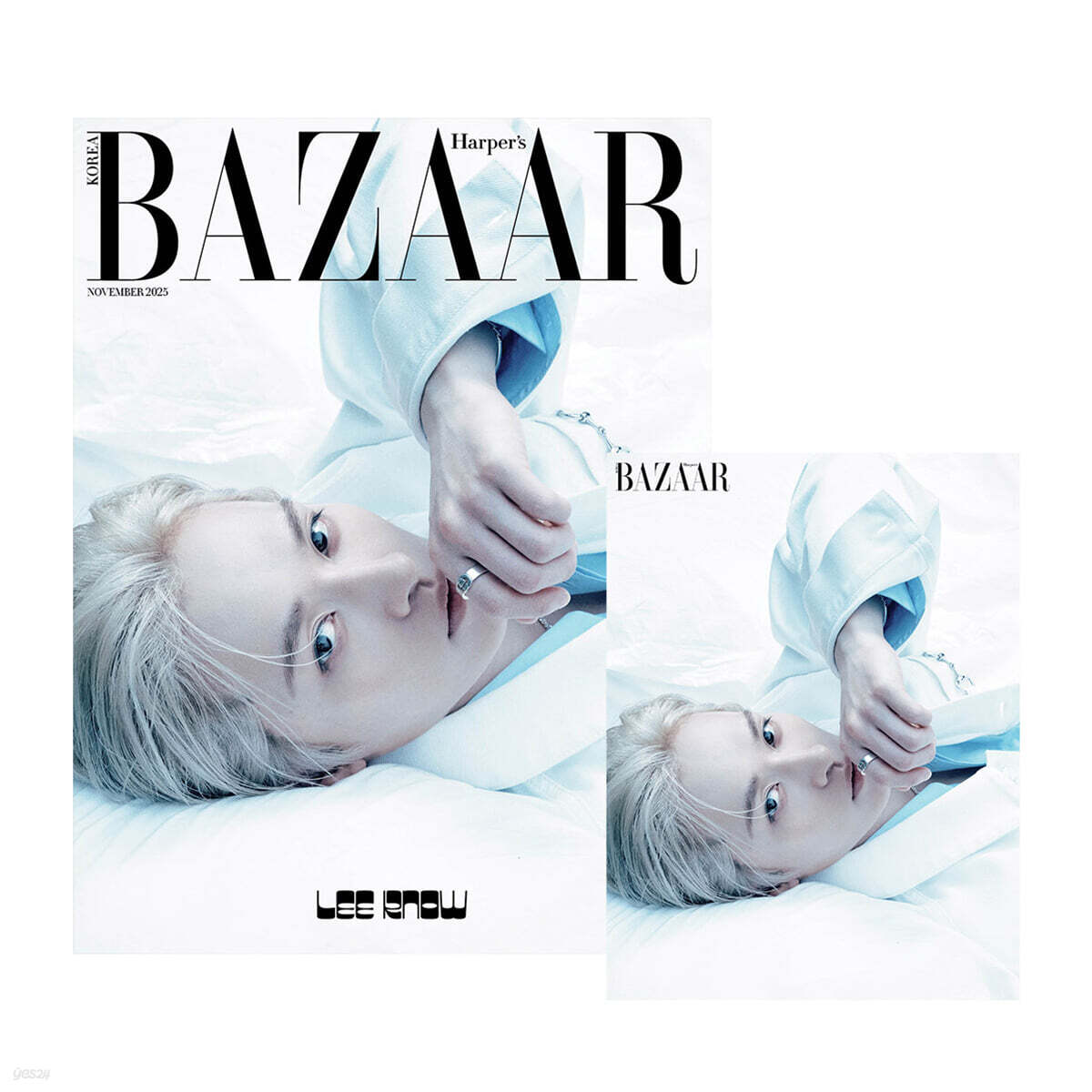 HARPER'S BAZAAR Nov Issue x Leeknow