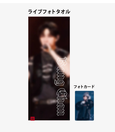 Stray Kids dominATE JAPAN R2 - LIVE PHOTO TOWEL