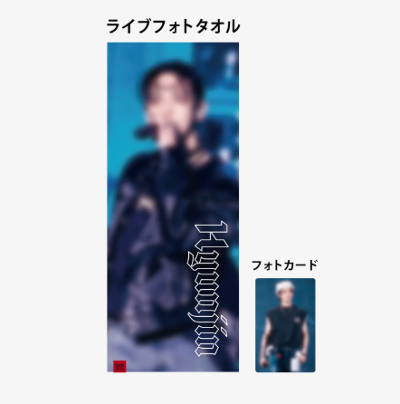 Stray Kids dominATE JAPAN R2 - LIVE PHOTO TOWEL