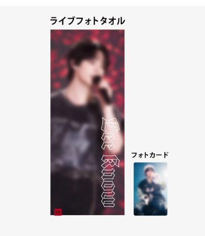 Stray Kids dominATE JAPAN R2 - LIVE PHOTO TOWEL