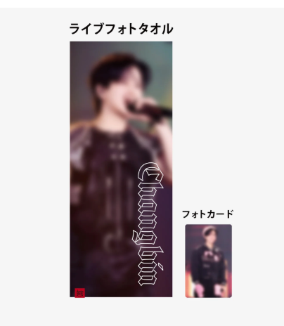 Stray Kids dominATE JAPAN R2 - LIVE PHOTO TOWEL