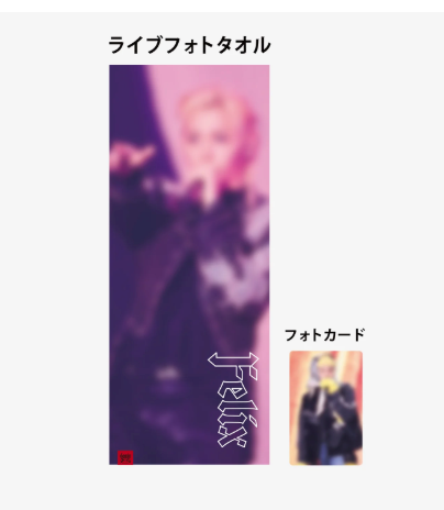 Stray Kids dominATE JAPAN R2 - LIVE PHOTO TOWEL