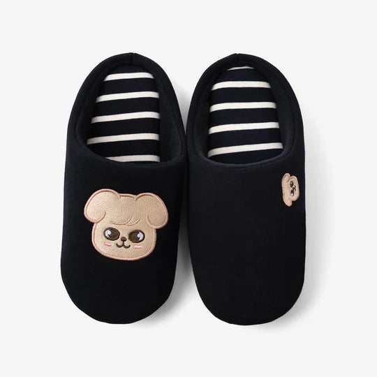 Stray Kids 5-STAR Dome Tour 2023 - ROOM SHOES Produced By Seungmin