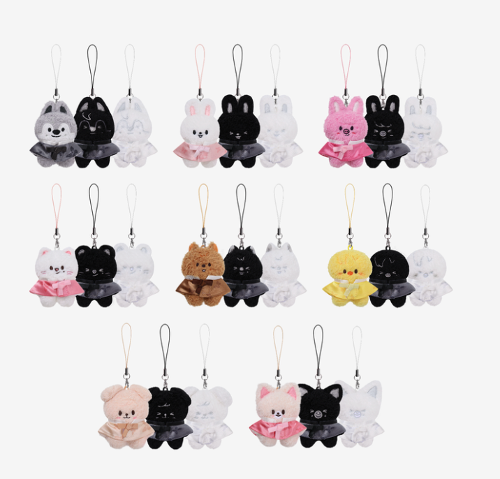SKZOO SECRET PLUSH MICRO Ver. - RUN IT