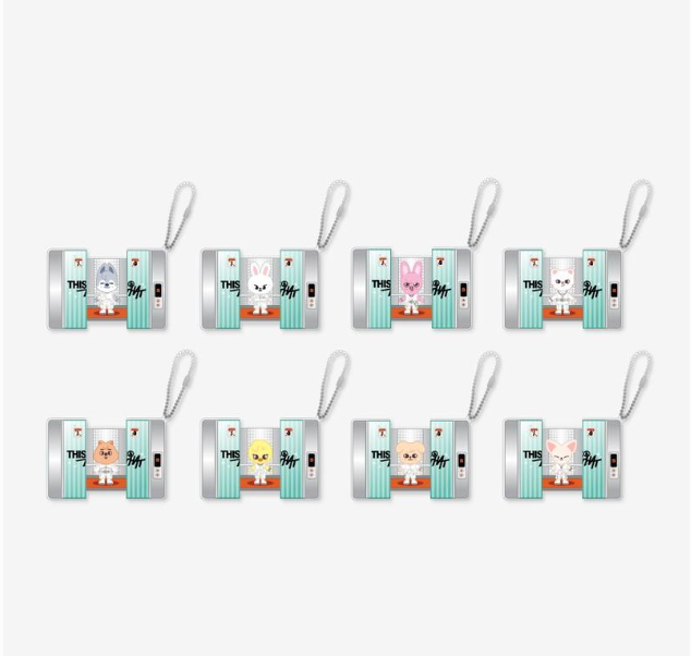 SKZOO CAPSULE ACRYLIC KEYRING - THIS & THAT