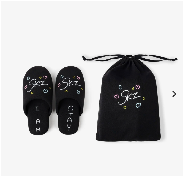 (Pre-order) Stray Kids ＜dominATE JAPAN＞ - ROOM SHOES WITH POUCH - Produced by HAN