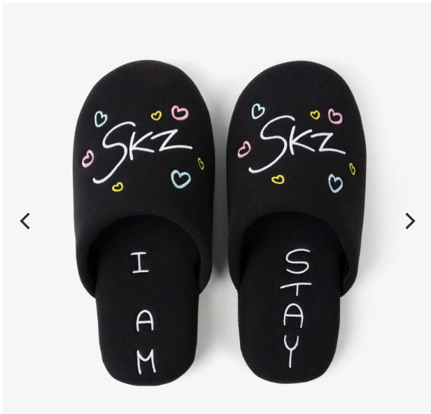 (Pre-order) Stray Kids ＜dominATE JAPAN＞ - ROOM SHOES WITH POUCH - Produced by HAN