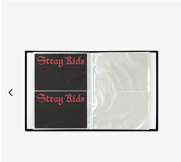 (Pre-order) Stray Kids dominATE JAPAN -  TRADING CARD CASE