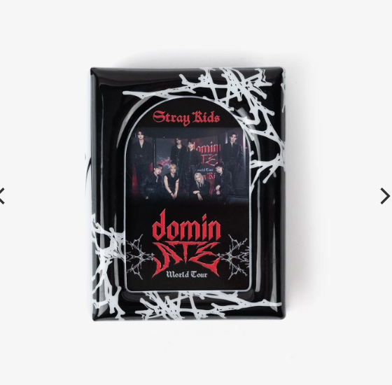 (Pre-order) Stray Kids dominATE JAPAN - PHOTO CARD CASE